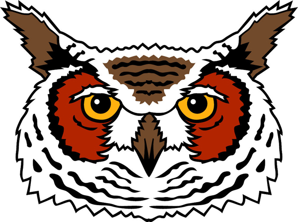 Owl mascot team sports decal. Own it now! 